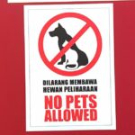 dilarang membawa hewan peliharaan